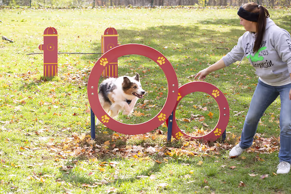 Carlisle Family Dog Park photo 1